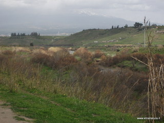 lle del Simeto-24-02-2013 12-01-57